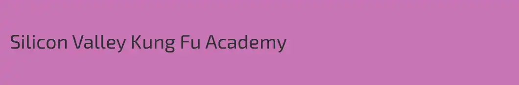 Silicon Valley Kung Fu Academy
